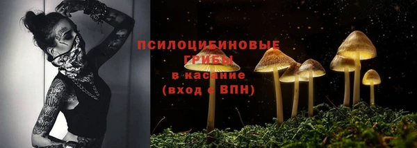 a pvp Верея