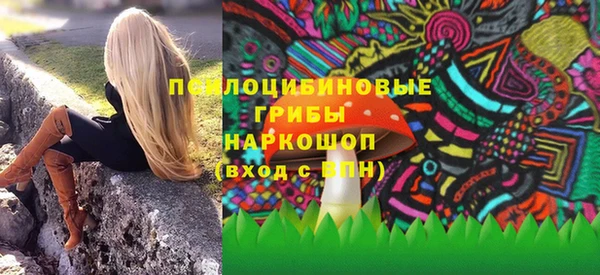 крисы Бронницы