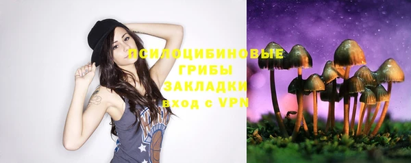 a pvp Верея