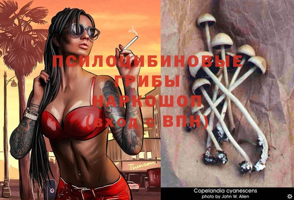 apvp Верхний Тагил