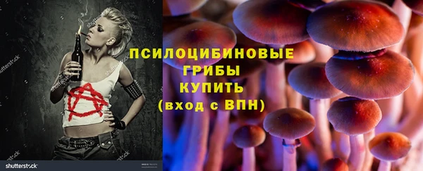 apvp Верхний Тагил