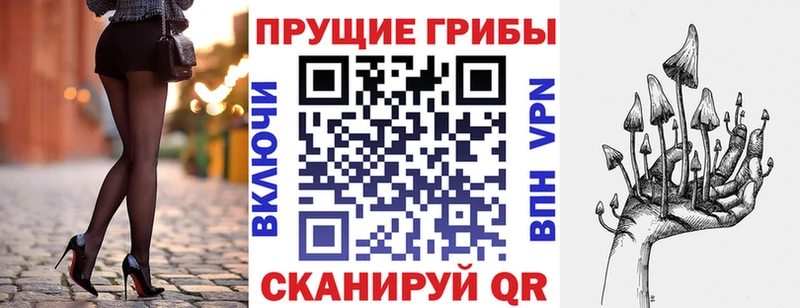 купить   Катав-Ивановск  Галлюциногенные грибы Psilocybine cubensis 